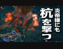 【STEAM版】モンハンライズ『炎国王に杭を撃て！』