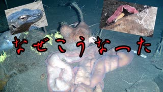 【ゆっくり解説】特殊な能力を持つ生き物3選【生き物】