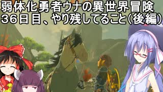 【ゼルダの伝説BotW】睡眠・食事・重量制限ありの勇者ウナの冒険３６日目