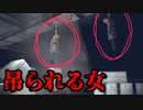 【ホラゲ実況】本当に怖いのは「人間」だよなぁ！【Human】