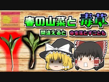 【2018年北海道】皮膚の感覚が無くなる…？美味しい山菜と『絶対に食べてはいけない草』を間違えてしまった男性【ゆっくり解説】