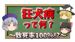 【致死率100％！？】狂犬病って何？？意外と知らない症状・治療などがすべてわかる！【ゆっくり解説】