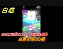 白猫　SAOコラボクエスト　TOWER攻略　白亜の塔３５階　キリト・アスナ・ユージオ・シノン・リーファ　ＳＡＯコラボ第２弾ガチャキャラ　＃３５　【白猫プロジェクト】