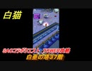 白猫　SAOコラボクエスト　TOWER攻略　白亜の塔３７階　キリト・アスナ・ユージオ・シノン・リーファ　ＳＡＯコラボ第２弾ガチャキャラ　＃３７　【白猫プロジェクト】