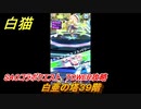 白猫　SAOコラボクエスト　TOWER攻略　白亜の塔３９階　キリト・アスナ・ユージオ・シノン・リーファ　ＳＡＯコラボ第２弾ガチャキャラ　＃３９　【白猫プロジェクト】