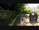 紲星あかりと行く新緑の多摩湖自転車歩行車道２