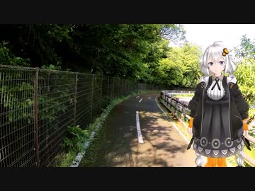 紲星あかりと行く新緑の多摩湖自転車歩行車道２