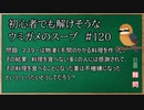 【ウミガメのスープ】　初心者でも解けそうなウミガメのスープ　【水平思考クイズ】　#120　「手間をかけても不機嫌」