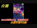 白猫　SAOコラボクエスト　TOWER攻略　白亜の塔４２階　キリト・アスナ・ユージオ・シノン・リーファ　ＳＡＯコラボ第２弾ガチャキャラ　＃４２　【白猫プロジェクト】