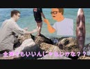 テキトウ
