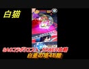 白猫　SAOコラボクエスト　TOWER攻略　白亜の塔４６階　キリト・アスナ・ユージオ・シノン・リーファ　ＳＡＯコラボ第２弾ガチャキャラ　＃４６　【白猫プロジェクト】