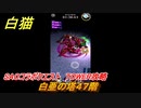白猫　SAOコラボクエスト　TOWER攻略　白亜の塔４７階　キリト・アスナ・ユージオ・シノン・リーファ　ＳＡＯコラボ第２弾ガチャキャラ　＃４７　【白猫プロジェクト】