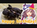 マチタンの誕生日を祝うマン