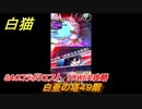 白猫　SAOコラボクエスト　TOWER攻略　白亜の塔４９階　キリト・アスナ・ユージオ・シノン・リーファ　ＳＡＯコラボ第２弾ガチャキャラ　＃４９　【白猫プロジェクト】