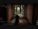 Skyrim 17