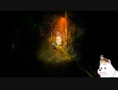 【夜廻三/ネタバレあり】いぬが夜の散歩するところ見てて#10