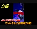 白猫　ＳＡＯコラボ　アインクラッド攻略戦１９層　キリト・アスナ・ユウキ・アリス・シノン・リーファ・ユナ　ＳＡＯコラボ第１弾ガチャキャラ　＃７５　【白猫プロジェクト】