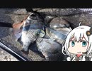 釣り人(末期)の水辺徘徊記録　その１【VOICEROID フカセ釣り実況】