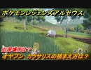 ポケモンレジェンズ アルセウス　オヤブン　カラサリスの捕まえ方は？出現場所は？　＃５６３【Pokémon LEGENDS アルセウス】