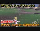 ポケモンレジェンズ アルセウス　オヤブン　ニャルマーの捕まえ方は？出現場所は？　＃５７１【Pokémon LEGENDS アルセウス】