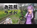 【ニコニコ自転車動画祭2022春】桜を求めてお花見ライド【自由投稿】