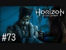 【ゆっくり実況】Horizon Zero Dawn その73