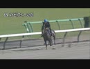 【2022 JRAブリーズアップセール】 騎乗供覧 第6クルー