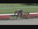 【2022 JRAブリーズアップセール】 騎乗供覧 第7クルー