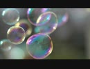 【NNIオリジナル】Akihi