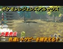 ポケモンレジェンズ アルセウス　色違いトゲピーを捕まえる！大量発生　＃５８９【Pokémon LEGENDS アルセウス】