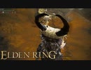 信仰技量の王となる。part _ 041【ELDENRING _ エルデンリング】