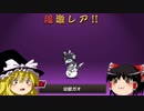 【にゃんこ】超極ネコ祭、ネコ缶チケット全ツッパ、70連、こい限定！