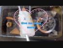 【Give me】スイーツもガレージランチ【スモア】