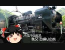 【ゆっくり旅行】 バタバタ巡る 秩父日帰りの旅