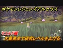 ポケモンレジェンズ アルセウス　大量発生で研究レベルを上げる！マユルド編　ポケモン図鑑コンプへの道　＃５９４【Pokémon LEGENDS アルセウス】