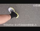 運動Day.37