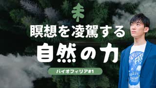 瞑想を凌駕する自然の力〜バイオフィリア#1