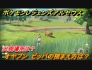 ポケモンレジェンズ アルセウス　オヤブン　ビッパの捕まえ方は？出現場所は？　＃５９９【Pokémon LEGENDS アルセウス】