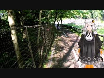 紲星あかりと行く新緑の多摩湖自転車歩行者道３
