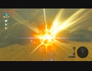 オタメガのブレワイ　08　2/8