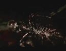 40代のおっさんが頑張るF.E.A.R.☆02