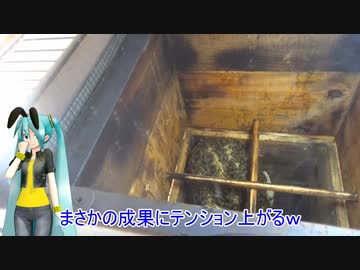 【素人養蜂　Part73】春です