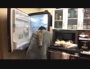 鬼はそと〜冷蔵庫は〜うち〜 新品冷蔵庫くるー！「冷蔵庫搬入時ミュートになります 2021/02/02(火) 10:44開始