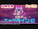 【星のカービィ ディスカバリー】『真夜中遊園地』山神兄弟でゲーム実況【Part.36】