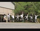 【みやイカはるふじ】45秒　踊ってみた【あらへちゃさくハチ】