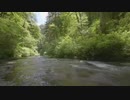川と鳥(192kbps 95kbps audio-00)