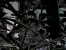 【魔女たちの眠り】謎の解明に挑む実況プレイ6 part6