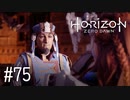 【ゆっくり実況】Horizon Zero Dawn その75