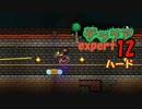 【ゲーム実況】アップデートされたテラリアを上級モードのハードで遊ぶ 12【テラリア】