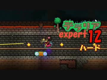 【ゲーム実況】アップデートされたテラリアを上級モードのハードで遊ぶ 12【テラリア】